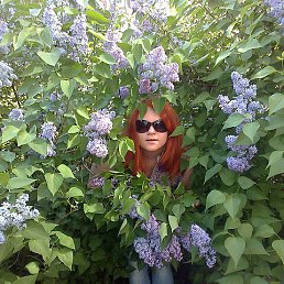 �����, 38 ���, ������