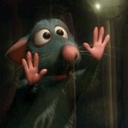 ����, 56 ���, ������