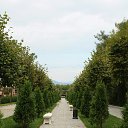  ok, --, 44  -  20  2012    2011 ()