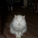 ���� ϸ��, ���������, 71 ��� - ��������� 28 ������� 2012 � ������ �������