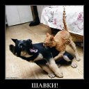 ���� Runa, ������-��-����, 38 ��� - ��������� 7 ������� 2011 � ������ ���� �������������