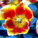  ,  -  3  2012     ӻ