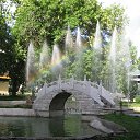 ���� ������ , �������, 71 ��� - ��������� 17 ������ 2013