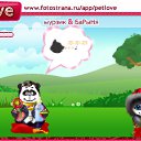 ���� �����, ��������, 43 ���� - ��������� 16 ������ 2010 � ������ �PetLove�
