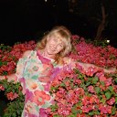 ���� �����, ������, 63 ���� - ��������� 24 ������ 2012 � ������ ���� ����������