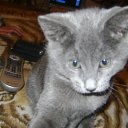 ���� �����, �������, 56 ��� - ��������� 29 ������� 2012 � ������ ������� �������