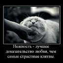 ���� �������, ������, 44 ���� - ��������� 14 ������� 2011 � ������ ���� ����������