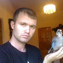 ���� �������, ������������, 38 ��� - ��������� 17 �������� 2010 � ������ ���� ����������