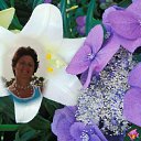 ���� ���������, �����-���������, 72 ���� - ��������� 27 ��� 2012 � ������ ����� �� �����ӻ