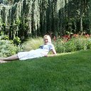 ���� ��������, �����������, 54 ���� - ��������� 27 ��� 2012