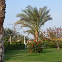 ���� ������, ������ - ��������� 20 ���� 2012 � ������ �������