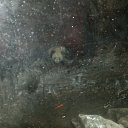 ���� �������, ����������� - ��������� 9 ������� 2011 � ������ ���� ����������