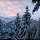 ���� �������, �������, 44 ���� - ��������� 15 ����� 2010 � ������ ����� ������� - ���������!!!�