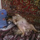 ���� Iris, ������ - ��������� 29 ������ 2012 � ������ �Avataria�