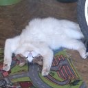  Dark    , -, 43  -  3  2013   