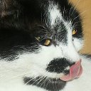 ���� ������, �������-���������, 51 ��� - ��������� 11 ������ 2013 � ������ ���� ����������