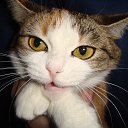 ���� �����, �������������, 25 ��� - ��������� 28 ���� 2013 � ������ ���� ����� �����.�