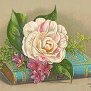 ���� ��������, ��������, 70 ��� - ��������� 2 ��� 2013 � ������ ���� ����������