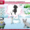  ion@(   ),  -  4  2010   PetLove