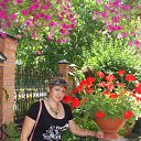 ���� ������, ���������, 63 ���� - ��������� 29 ���� 2012 � ������ ���� ����������