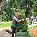 ���� ����, �����-���������, 49 ��� - ��������� 13 ������ 2012 � ������ ���� ����������