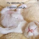 ���� ��������, �����-���������, 55 ��� - ��������� 27 ������ 2012