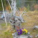  , , 63  -  9  2009      - Suomi