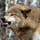 ���� �������, ������������, 41 ��� - ��������� 19 ������� 2011 � ������ ���� ����������