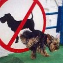 ���� ���� �������., ���������, 42 ���� - ��������� 5 ������ 2010 � ������ ���������� :)))�