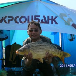 ����, �����������, 60 ���