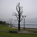  , , 62  -  29  2011    -