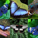   , 
  ,
  , 
  .

   
  ,
   
  .

 -, 
 -,
  , 
  ,

   
  ,
 , 
  .

   , 
  ,
    
   .

    
   
    