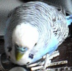 ���� ��� �������, ������, 44 ���� - ��������� 7 �������� 2012