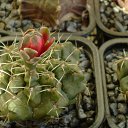 ���� ������, ������, 69 ��� - ��������� 5 ������ 2013 � ������ ���� ��������� ����������