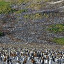 ���� �������, ���������, 42 ���� - ��������� 25 ����� 2012 � ������ �������������