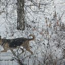 ���� �����, ������ - ��������� 5 ������� 2012 � ������ ������