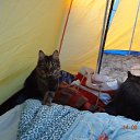 ���� ������ ������, ��������, 58 ��� - ��������� 29 �������� 2012 � ������ �������