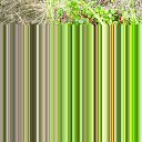 ���� �����, �������� - ��������� 22 ������� 2012 � ������ �������