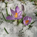 ���� Val, ������, 51 ��� - ��������� 1 ������ 2011 � ������ �������