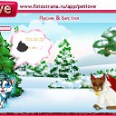  ,  -  10  2011   PetLove