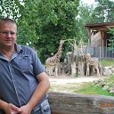 ���� ������, �����, 49 ��� - ��������� 29 ������ 2013 � ������ ���� ����������