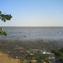 ���� ������, ������� - ��������� 3 ������ 2010 � ������ ���� ���������