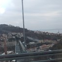 ���� ��������, ������, 43 ���� - ��������� 13 ������ 2013 � ������ ����������