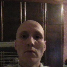 , 41 , -