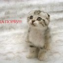 ���� �����, ���������, 46 ��� - ��������� 27 ������� 2012