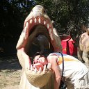 ���� �������, ����, 56 ��� - ��������� 19 ������� 2011 � ������ ���� ����������