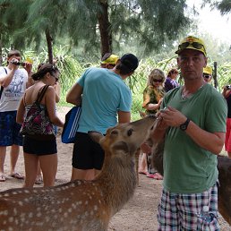 ���� �������, ���������, 60 ��� - ��������� 28 ������ 2012