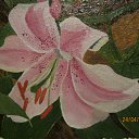 ���� ������, ���������, 47 ��� - ��������� 22 ���� 2012 � ������ ���������