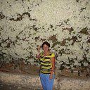  , -, 71  -  31  2013    2013