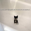 ���� Zeben, ������, 46 ��� - ��������� 30 ���� 2010 � ������ ��������� =)�